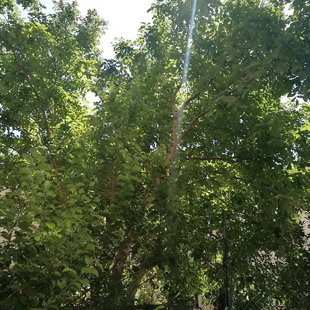 Riverretreat Apartament *